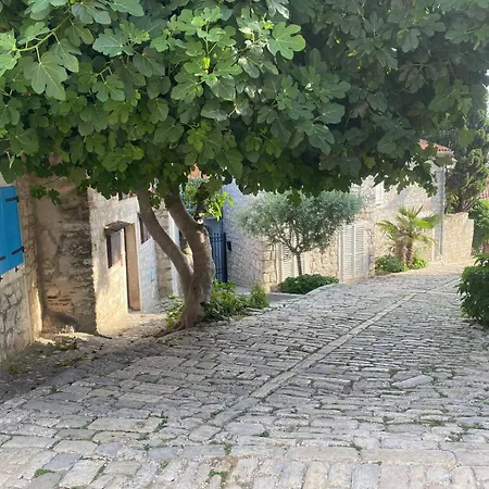 Seaview House Rosali Prázdninový dům Rovinj